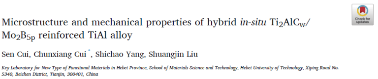 Read more about the article Microstructure and mechanical properties of hybrid in-situ Ti2AlCw_Mo2B5p reinforced TiAl alloy