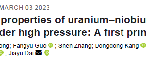 Structures and properties of uranium–niobium intermetallic compounds under high pressure A first principles study