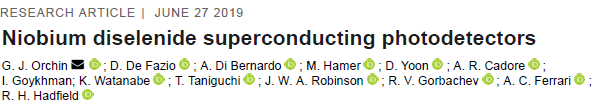 Read more about the article Niobium diselenide superconducting photodetectors