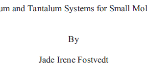 Design of Niobium and Tantalum Systems for SMALL Molecule Activation