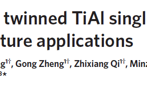 Polysynthetic twinned TiAl single crystals for high-temperature applications