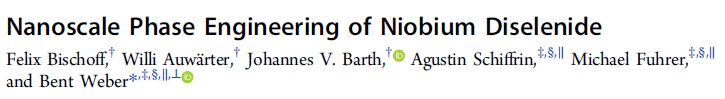 Read more about the article Nanoscale Phase Engineering of Niobium Diselenide