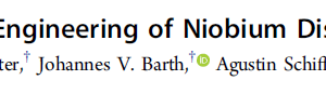 Nanoscale Phase Engineering of Niobium Diselenide
