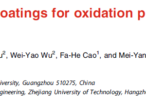 Sol–gel-based coatings for oxidation protection of TiAl alloys