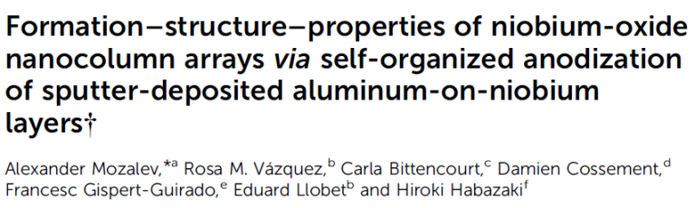 Read more about the article Formation–structure–properties of niobium-oxide nanocolumn arrays via self-organized anodization of sputter-deposited aluminum-on-niobium layers