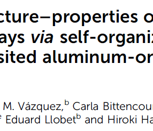 Formation–structure–properties of niobium-oxide nanocolumn arrays via self-organized anodization of sputter-deposited aluminum-on-niobium layers