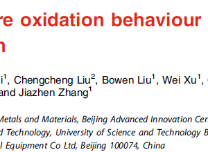 High-temperature oxidation behaviour of TiAl alloys with Co addition