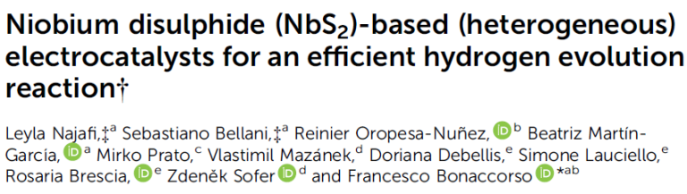 Read more about the article Niobium disulphide (NbS₂)-based (heterogeneous) electrocatalysts for an efficient hydrogen evolution reaction