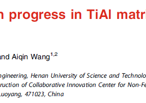 Recent research progress in TiAl matrix composites a review