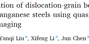 Experimental investigation of dislocation-grain boundary interaction in coarse-grained high‑manganese steels using quasi in situ electron channelling contrast imaging