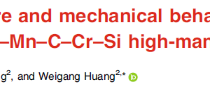 Microstructure and mechanical behavior of a novel Fe–Mn–C–Cr–Si high-manganese steel
