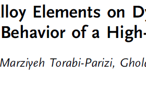 Effect of Micro-Alloy Elements on Dynamic Recrystallization Behavior of a High-Manganese Steel