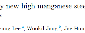 Strain behavior of very new high manganese steel for 200,000 m³ LNG cryogenic storage tank