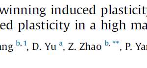 Transition from the twinning induced plasticity to the g-ε transformation induced plasticity in a high manganese steel
