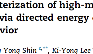 Deposition characterization of high-manganese (13Mn) steel built via directed energy deposition and its wear behavior