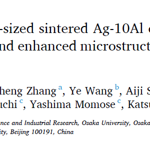 Interface regulation of micro-sized sintered Ag-10Al composite based on in-situ surface modification and enhanced microstructure stability in power electronic packaging
