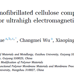 Asymmetric sandwiched nanofibrillated cellulose composites prepared by one-pot vacuum filtration for ultrahigh electromagnetic interference shielding