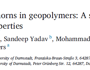 Carbon nanotubes and nanohorns in geopolymers A study on chemical, physical and mechanical properties