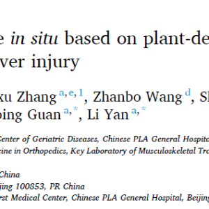 Constructing liver-like tissue in situ based on plant-derived cellulose scaffolds alleviating acute liver injury