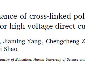 Modulated electrical performance of cross-linked polyethylene by grafted charge-attracting molecules for high voltage direct current cable insulation