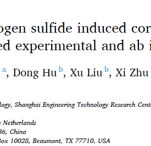 Insights into sulfur and hydrogen sulfide induced corrosion of sintered nanocopper paste A combined experimental and ab initio study