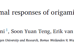 Shear and shear-induced normal responses of origami cylinders relate to their structural asymmetries