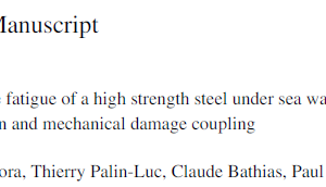 Very high cycle fatigue of a high strength steel under sea water corrosion a Strong corrosion and mechanical damage coupling